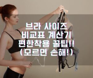 abc컵 비교 브라 사이즈 비교표 계산기 편한착용 꿀팁!