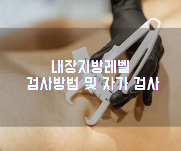 내장지방지수 내장지방레벨 검사방법 및 자가 검사방법