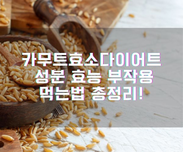 카무트효소다이어트 성분 효능 부작용 먹는법 총정리!