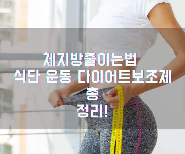 체지방줄이는법 식단 운동 다이어트보조제 총정리!