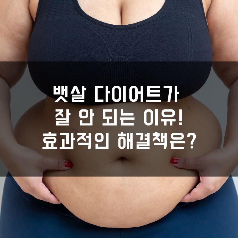 뱃살 다이어트가 잘 안 되는 이유! 효과적인 해결책은