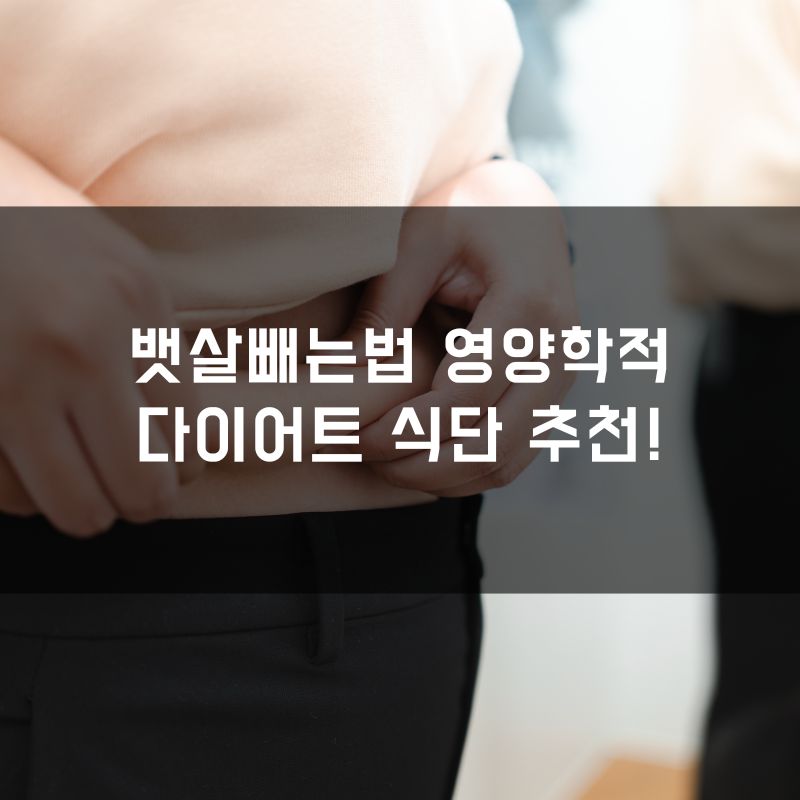 뱃살빼는법 영양학적 다이어트 식단 추천!