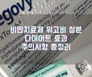 비만치료제 위고비Wegovy 성분 다이어트 효과 주의사항 총정리 1