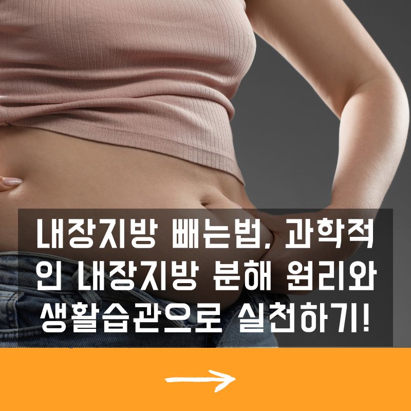 내장지방 빼는법, 과학적인 내장지방 분해 원리와 생활습관으로 실천하기!