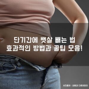 단기간에 뱃살 빼는 법, 효과적인 방법과 꿀팁 모음!