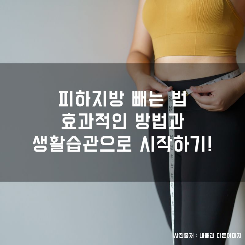 피하지방 빼는 법, 효과적인 방법과 생활습관으로 시작하기!