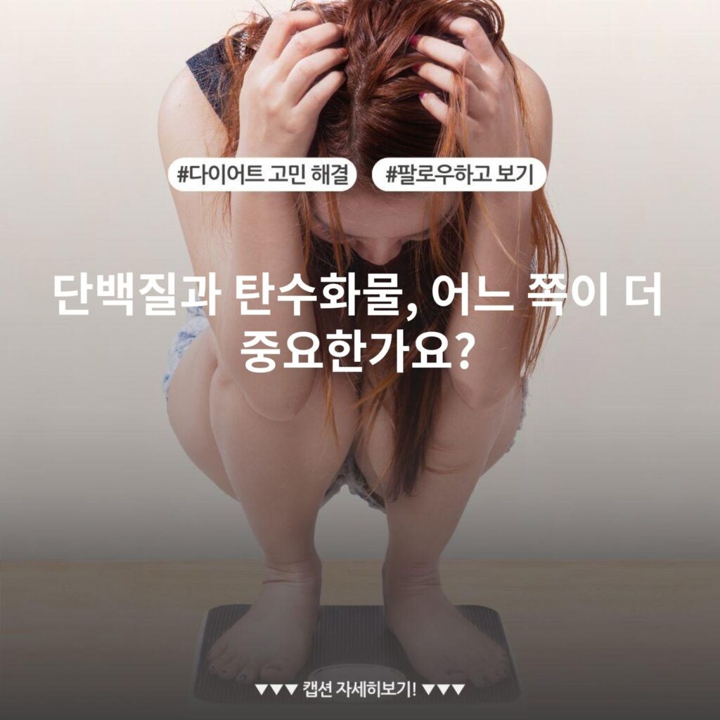 단백질과 탄수화물, 어느 쪽이 더 중요한가요?