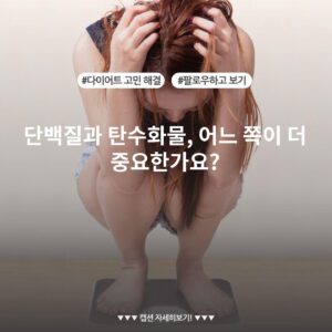 단백질과 탄수화물, 어느 쪽이 더 중요한가요?