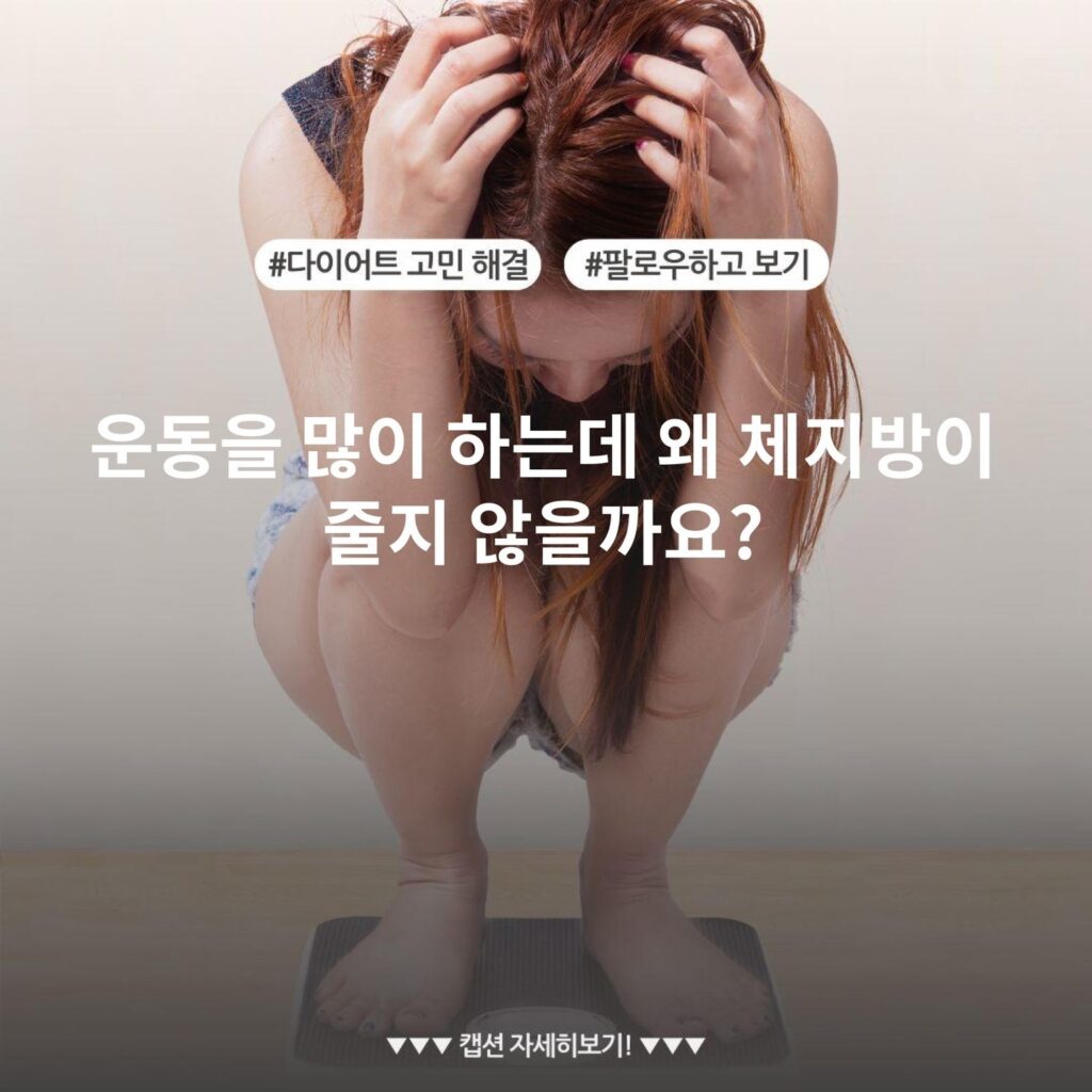 운동을 많이 하는데 왜 체지방이 줄지 않을까요?