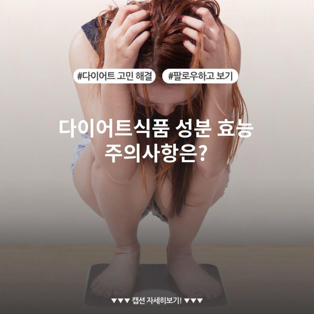 다이어트식품 성분 효능 주의사항은?