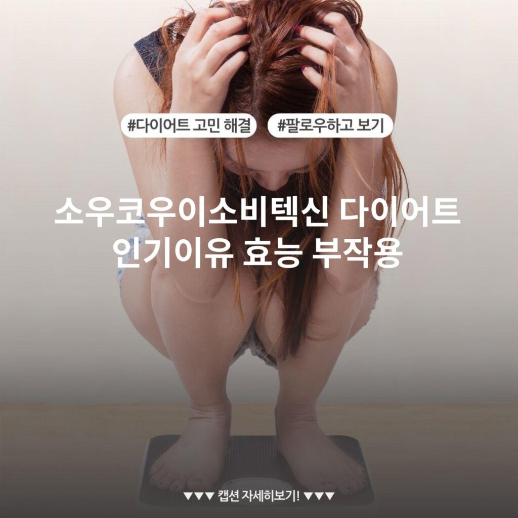 소우코우이소비텍신 다이어트 인기이유 효능 부작용