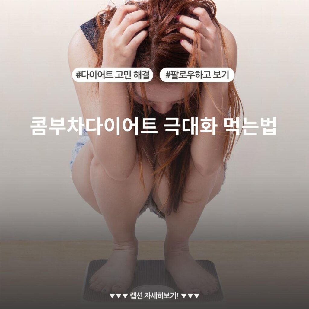 콤부차다이어트 극대화 먹는법