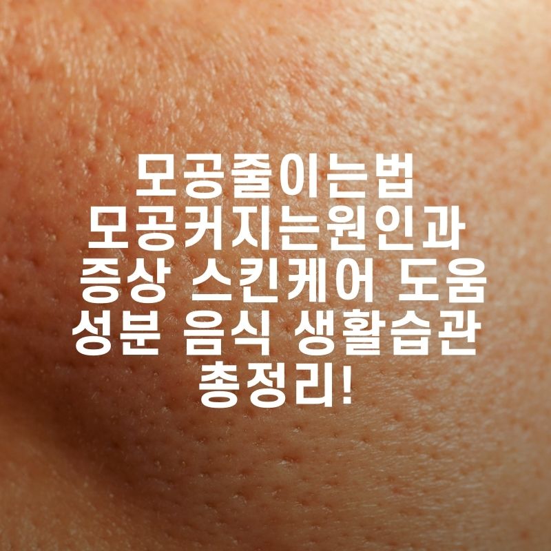 모공줄이는법 모공커지는원인과 증상 스킨케어 도움 성분 음식 생활습관 총정리!