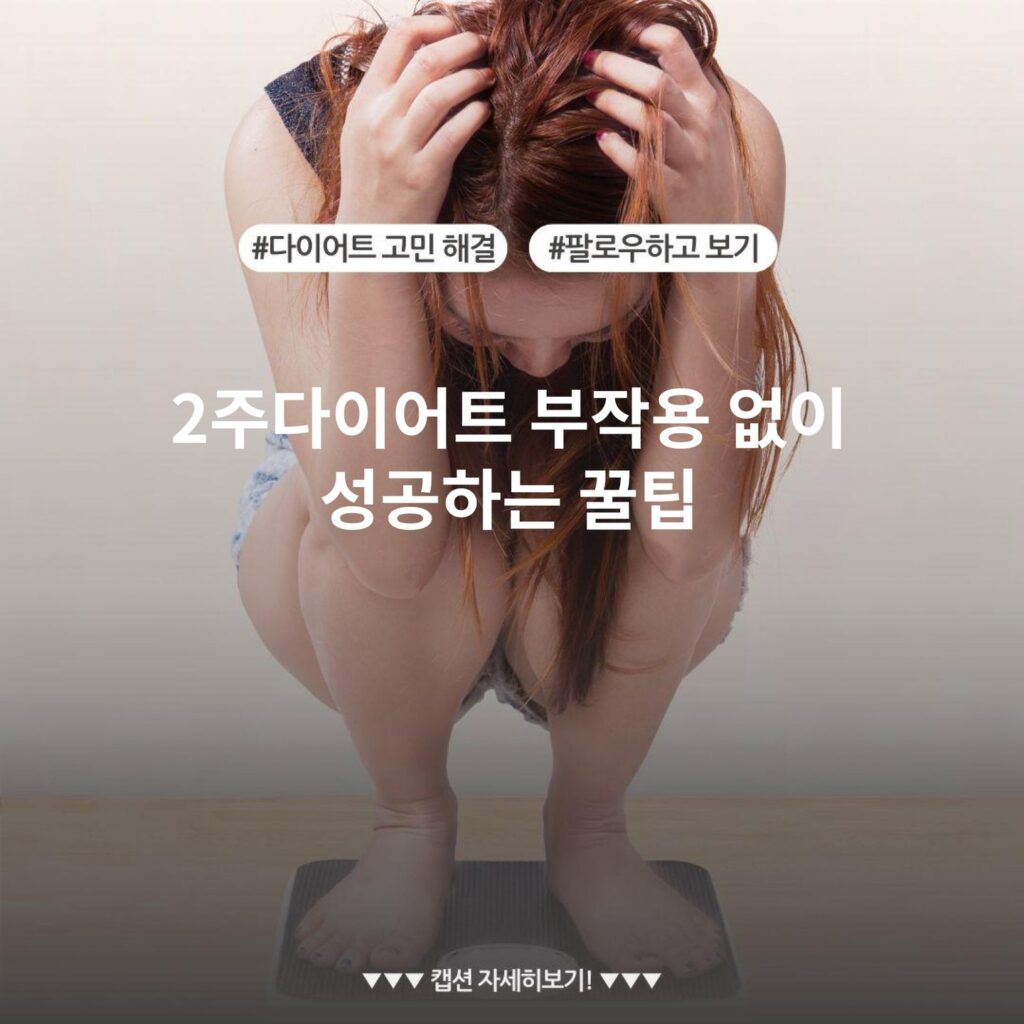 2주다이어트 부작용 없이 성공하는 꿀팁