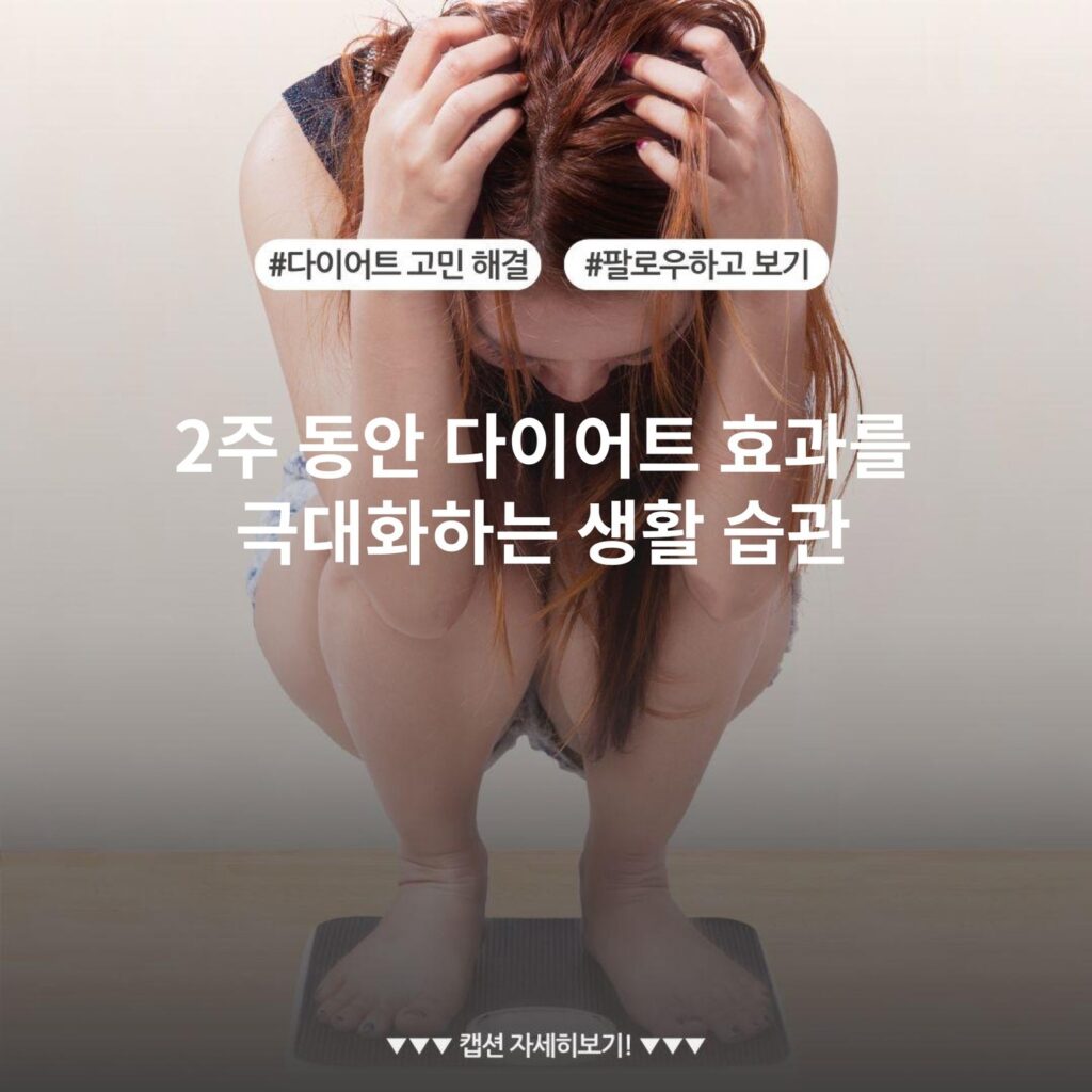 2주 동안 다이어트 효과를 극대화하는 생활 습관