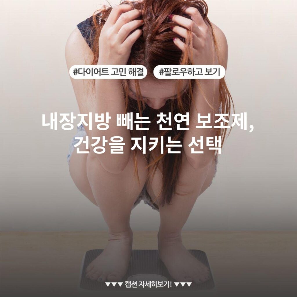 내장지방 빼는 천연 보조제, 건강을 지키는 선택