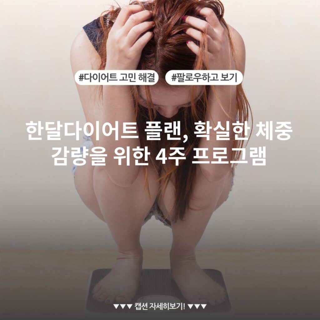 한달다이어트 플랜, 확실한 체중 감량을 위한 4주 프로그램