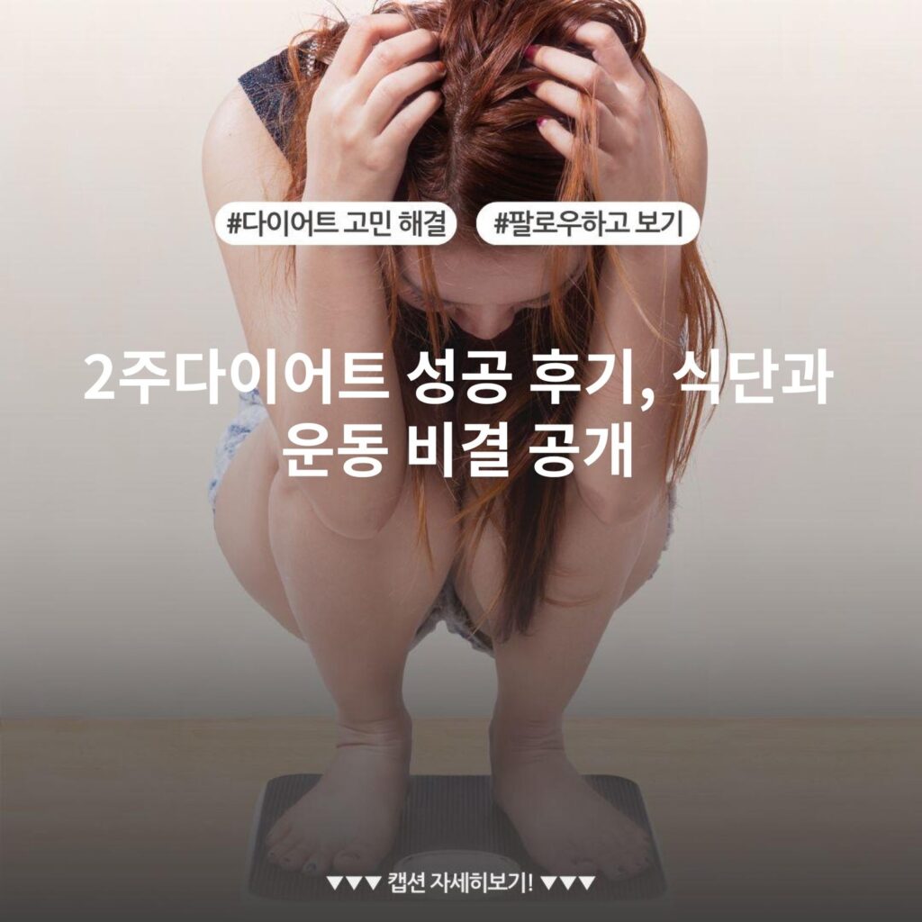2주다이어트 성공 후기, 식단과 운동 비결 공개