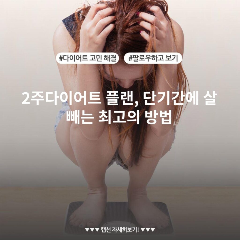 2주다이어트 플랜, 단기간에 살 빼는 최고의 방법