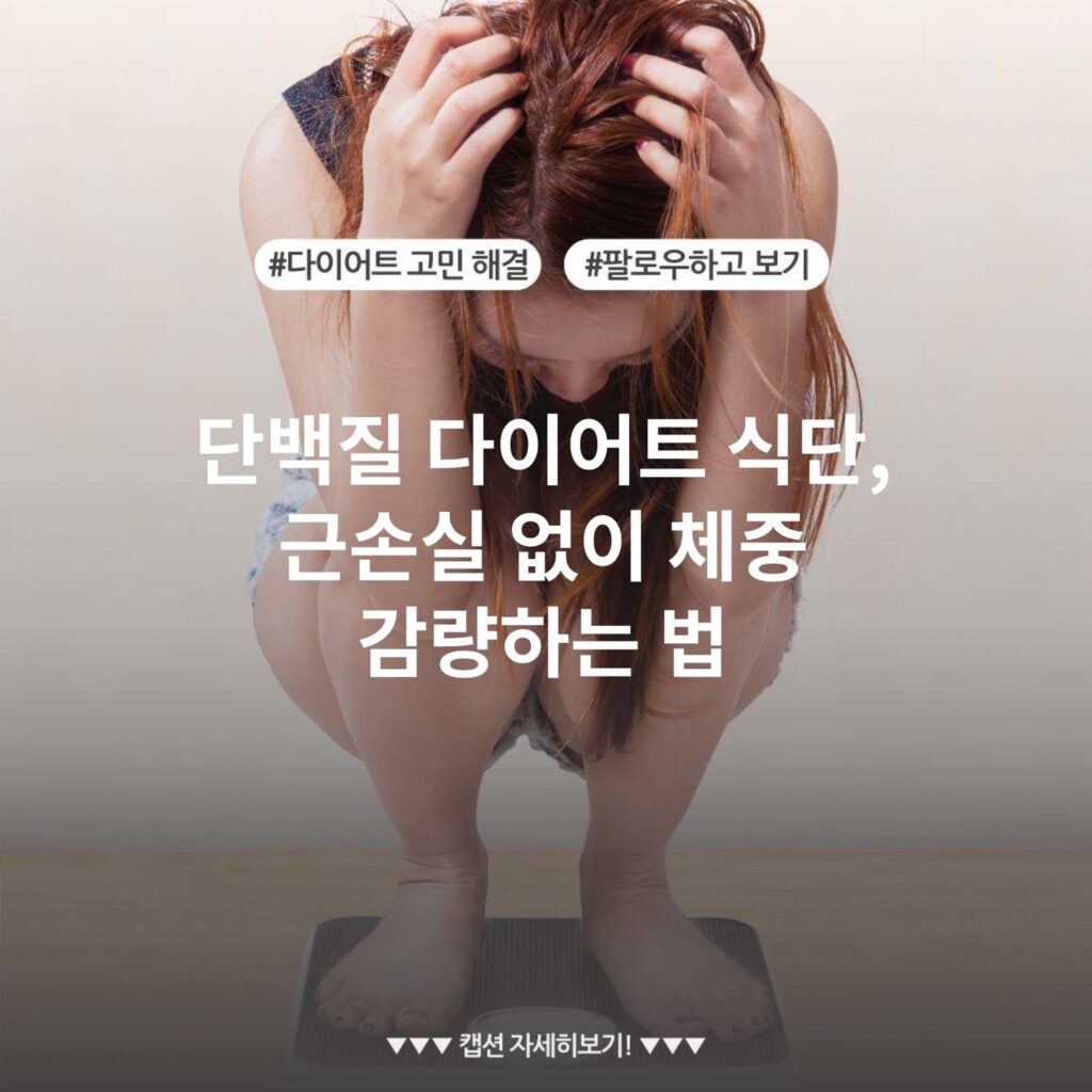 단백질 다이어트 식단, 근손실 없이 체중 감량하는 법