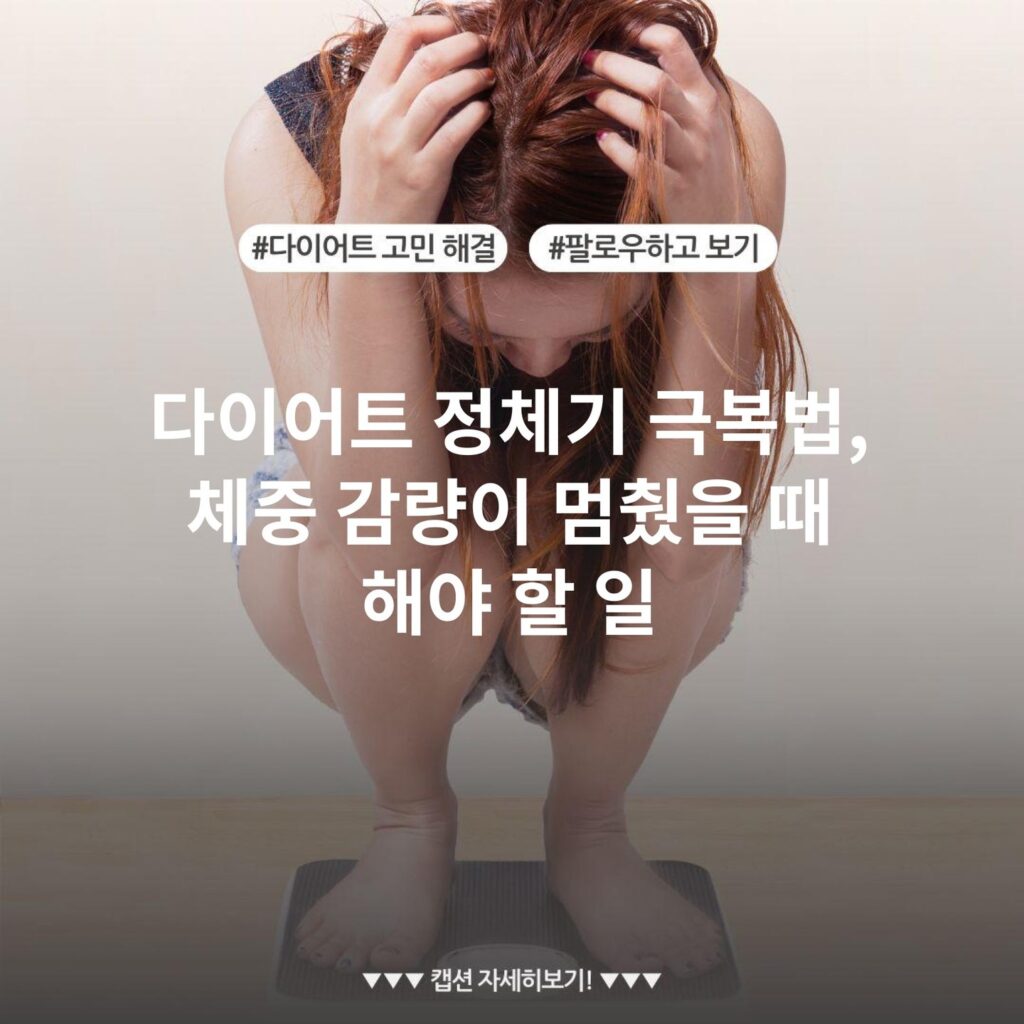 다이어트 정체기 극복법, 체중 감량이 멈췄을 때 해야 할 일