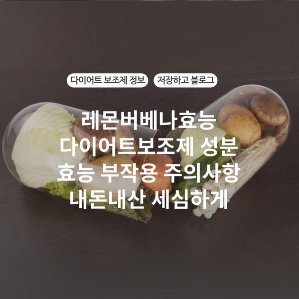 레몬버베나효능 다이어트보조제 성분 효능 부작용 주의사항 내돈내산 세심하게