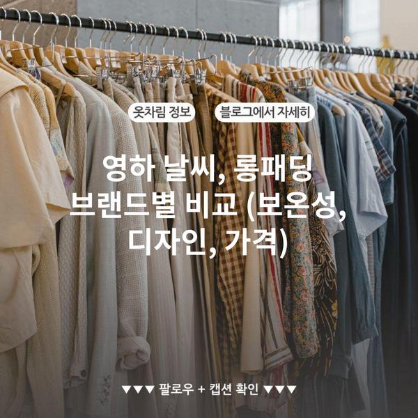 영하 날씨, 롱패딩 브랜드별 비교 (보온성, 디자인, 가격)
