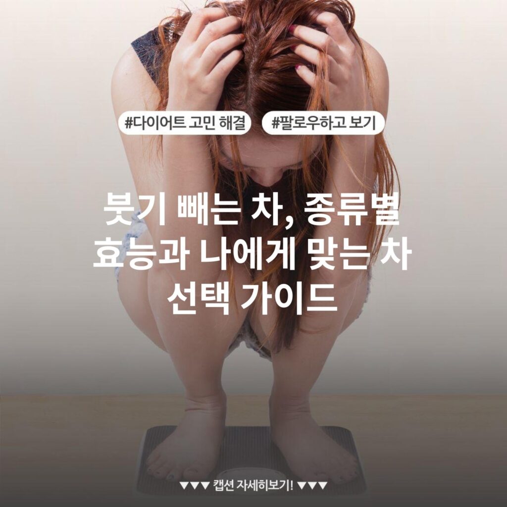 붓기 빼는 차, 종류별 효능과 나에게 맞는 차 선택 가이드