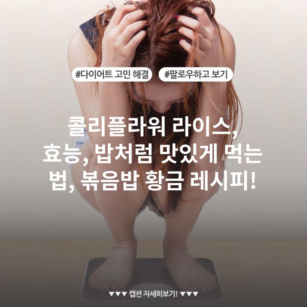 콜리플라워 라이스, 효능, 밥처럼 맛있게 먹는 법, 볶음밥 황금 레시피!