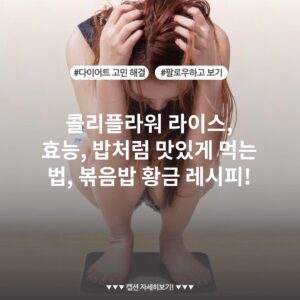 콜리플라워 라이스, 효능, 밥처럼 맛있게 먹는 법, 볶음밥 황금 레시피!