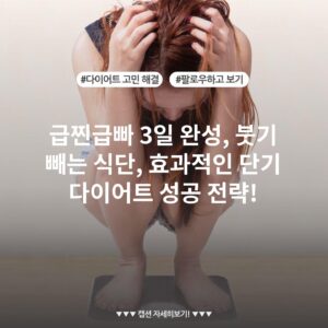 급찐급빠 3일 완성, 붓기 빼는 식단, 효과적인 단기 다이어트 성공 전략!