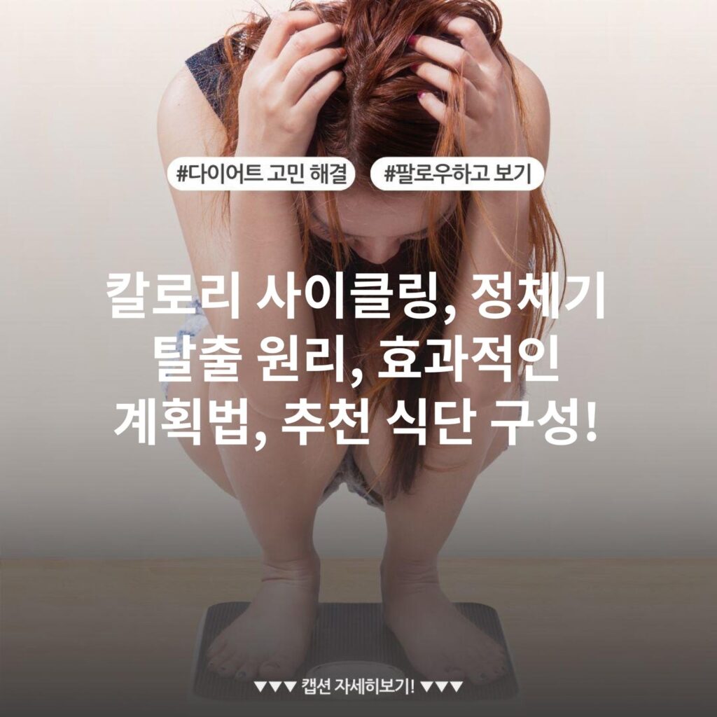 칼로리 사이클링, 정체기 탈출 원리, 효과적인 계획법, 추천 식단 구성!
