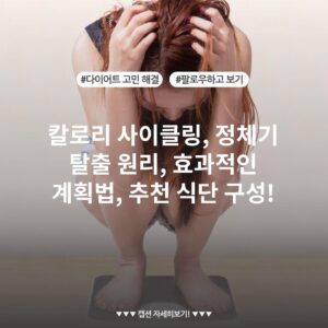 칼로리 사이클링, 정체기 탈출 원리, 효과적인 계획법, 추천 식단 구성!