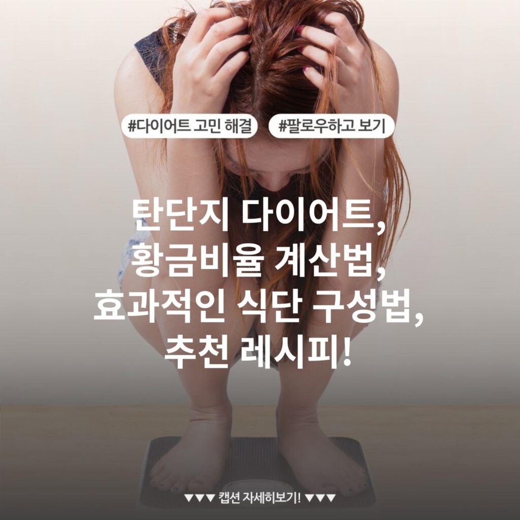 탄단지 다이어트, 황금비율 계산법, 효과적인 식단 구성법, 추천 레시피!