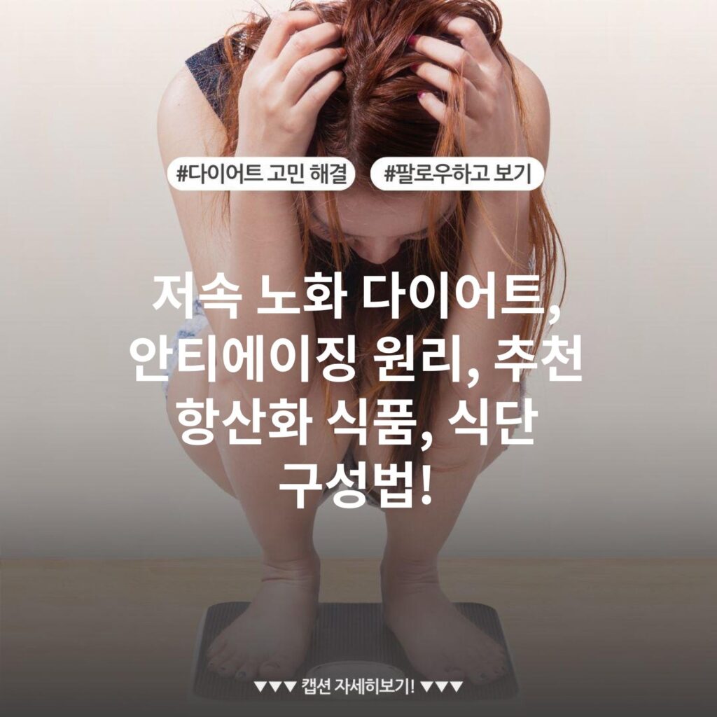 저속 노화 다이어트, 안티에이징 원리, 추천 항산화 식품, 식단 구성법!