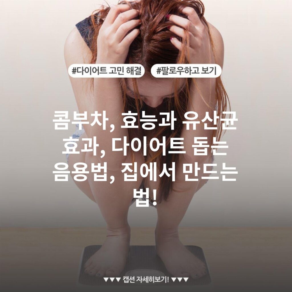 콤부차, 효능과 유산균 효과, 다이어트 돕는 음용법, 집에서 만드는 법!