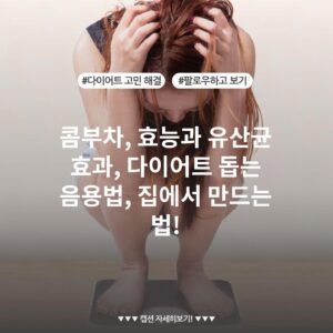 콤부차, 효능과 유산균 효과, 다이어트 돕는 음용법, 집에서 만드는 법!