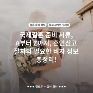 국제결혼 준비 서류, A부터 Z까지, 혼인신고 절차와 필요한 비자 정보 총정리!