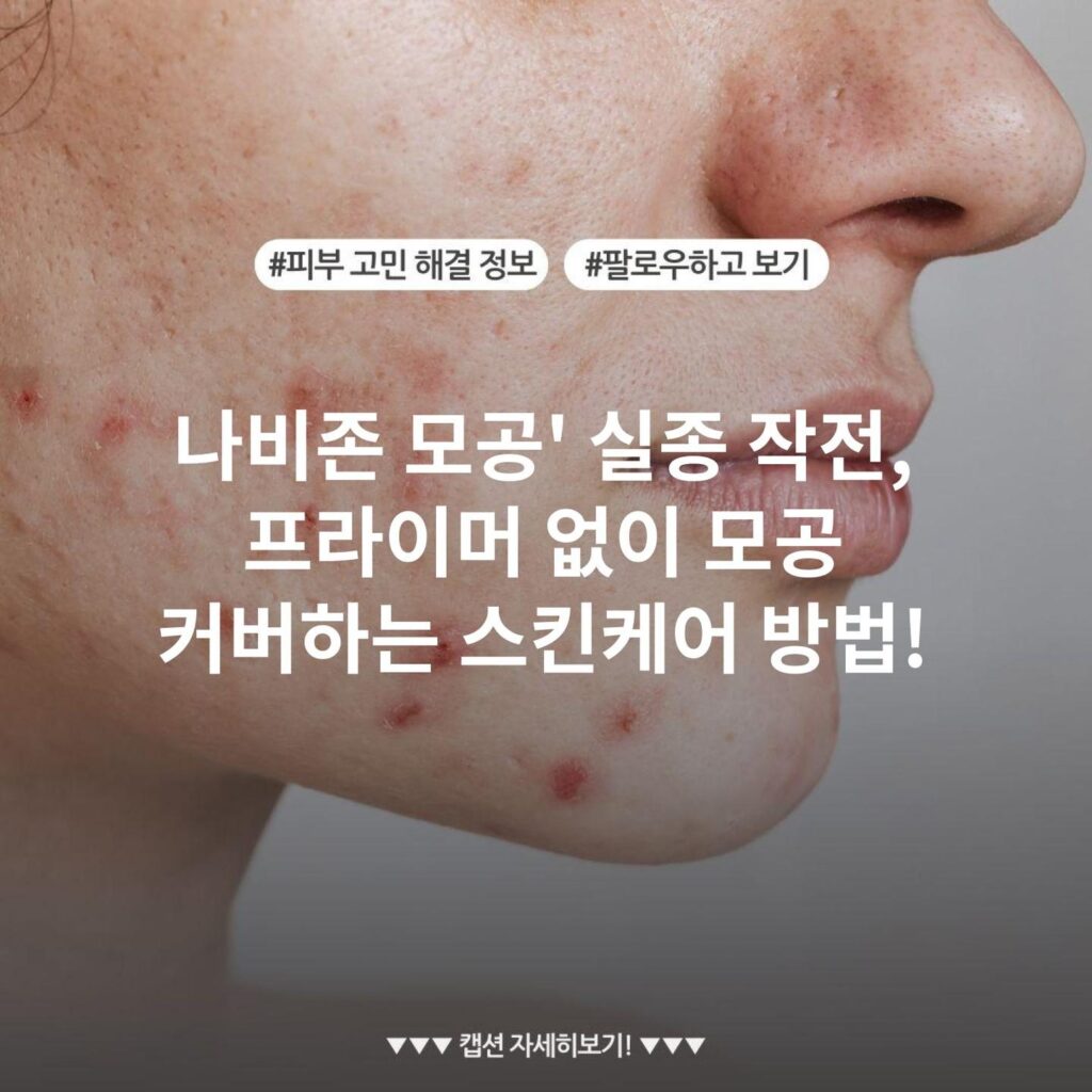 나비존 모공' 실종 작전, 프라이머 없이 모공 커버하는 스킨케어 방법!