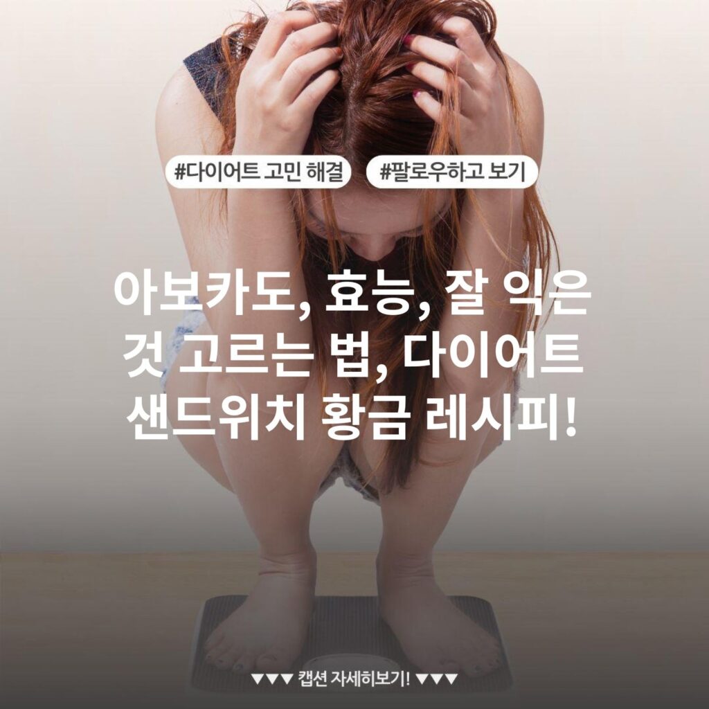 아보카도, 효능, 잘 익은 것 고르는 법, 다이어트 샌드위치 황금 레시피!