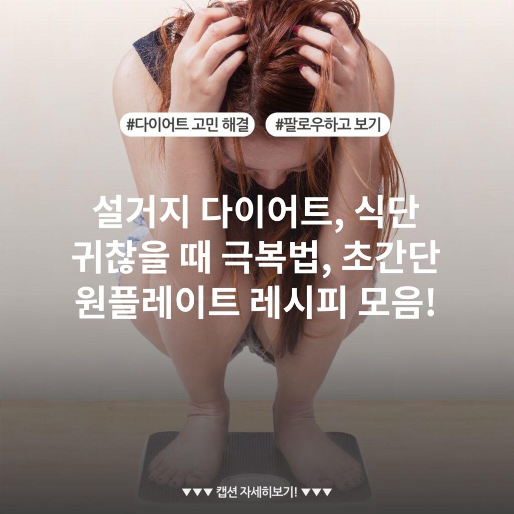 설거지 다이어트, 식단 귀찮을 때 극복법, 초간단 원플레이트 레시피 모음!