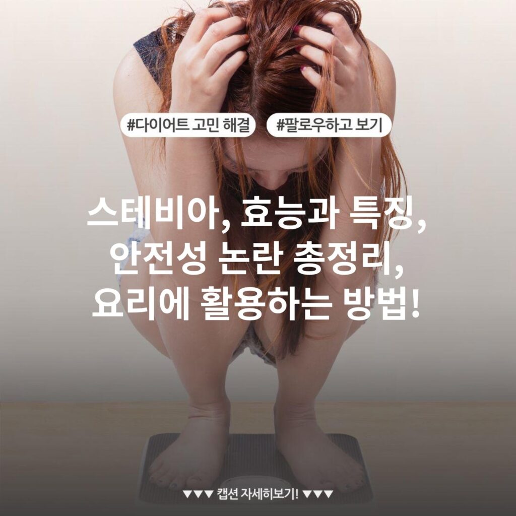 스테비아, 효능과 특징, 안전성 논란 총정리, 요리에 활용하는 방법!
