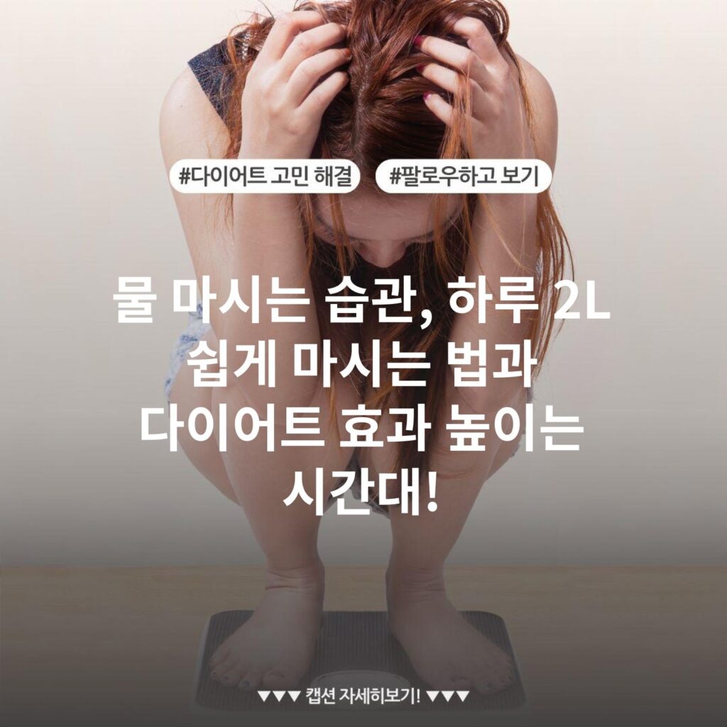 물 마시는 습관, 하루 2L 쉽게 마시는 법과 다이어트 효과 높이는 시간대!