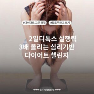 2일디톡스 실행력 3배 올리는 심리기반 다이어트 챌린지