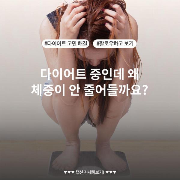 다이어트 중인데 왜 체중이 안 줄어들까요?