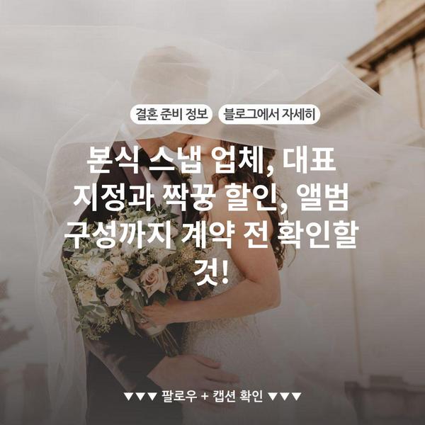 본식 스냅 업체, 대표 지정과 짝꿍 할인, 앨범 구성까지 계약 전 확인할 것!