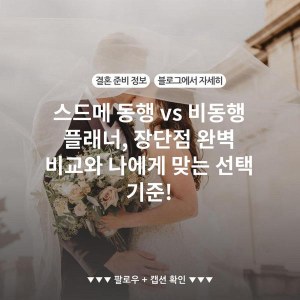 스드메 동행 vs 비동행 플래너, 장단점 완벽 비교와 나에게 맞는 선택 기준!